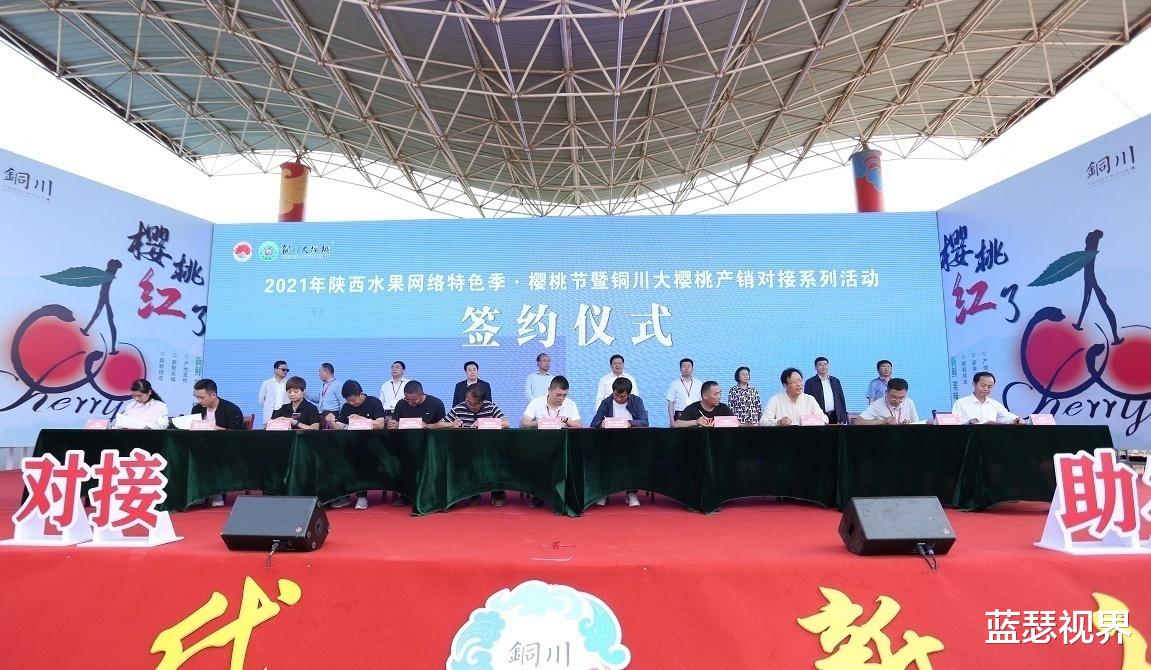 蓝瑟视界 铜川产销对接 3.8万亩大樱桃成熟上市 采购游地图收藏起来
