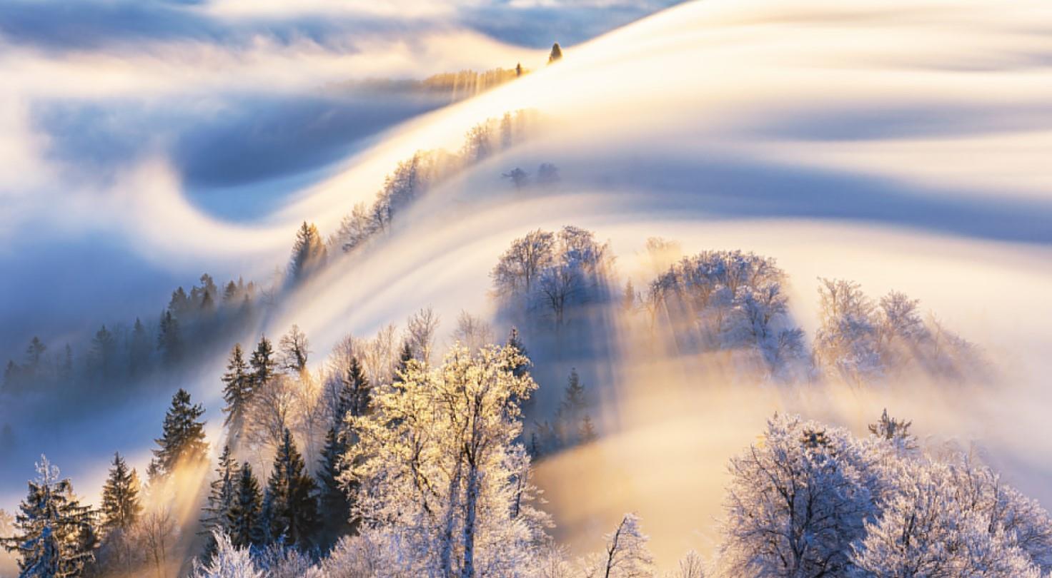 谭松韵|“傻人有傻福”的星座，纯洁善良没心机，却能够成为人生赢家