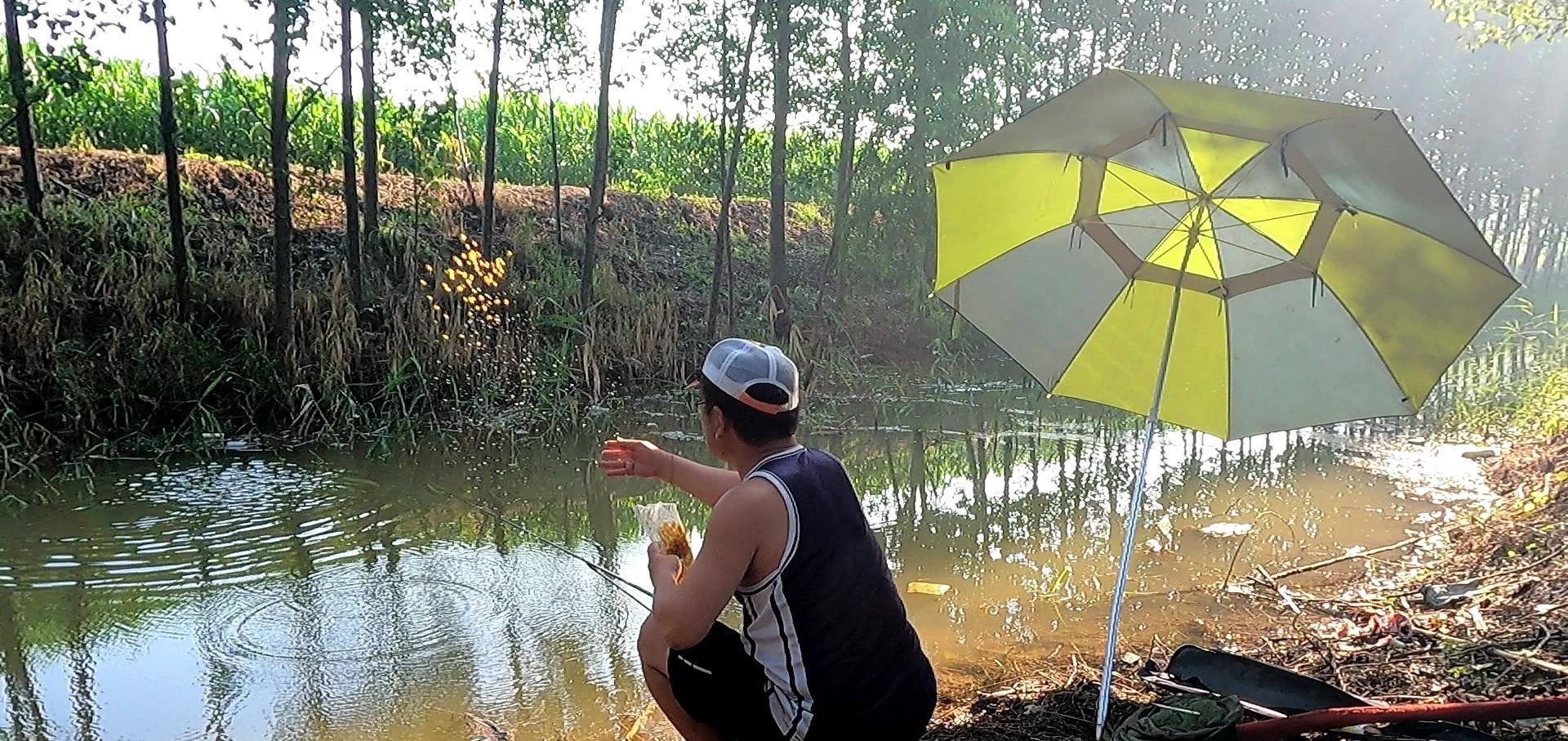 弹弓|因为这个小玩意儿,治好了我的钓鱼综合征,你也许还蒙在鼓里