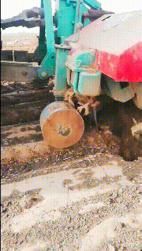 小叶娱记 “男朋友很棒是一种什么样的体验？”真是赚大了呀！