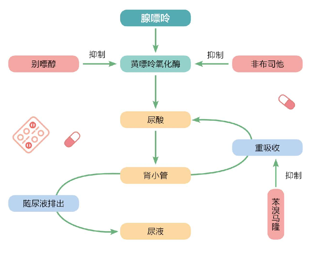 痛风|爱喝酒的痛风患者注意了，吃这种降酸药物风险很大