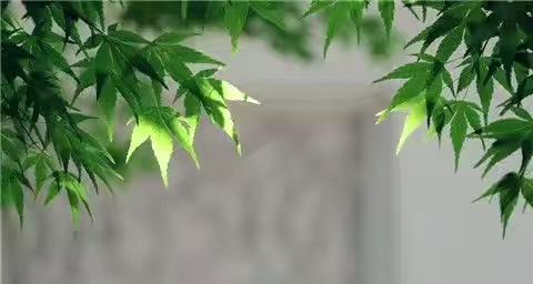小飞侠熙熙|经历才会领悟，自律，修心要坚持！
