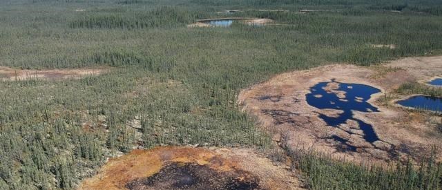 科学家警告:北极植物高度大幅增加,变得生机盎然!或会引发灾难