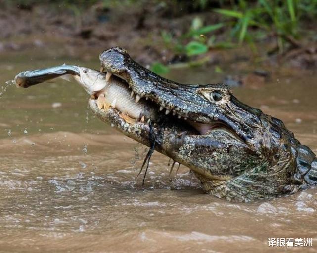 太空 22张不可思议的照片 带你看大千世界