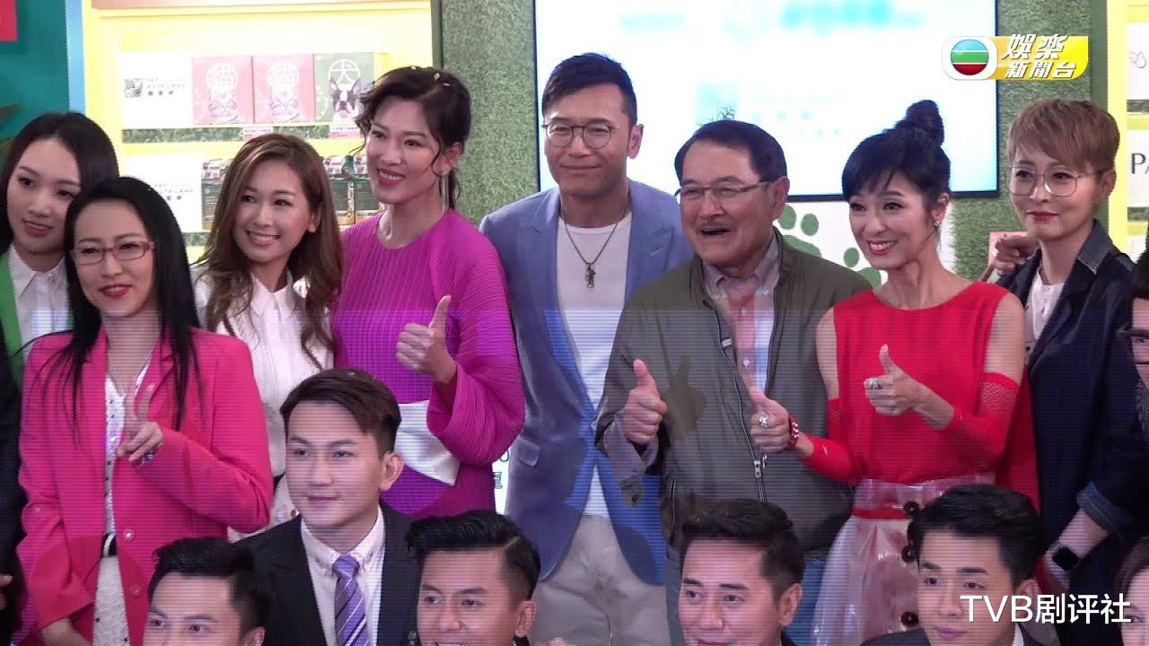 《愛回傢》收視成標桿，TVB小花孫慧雪客串演出獲贊-圖5