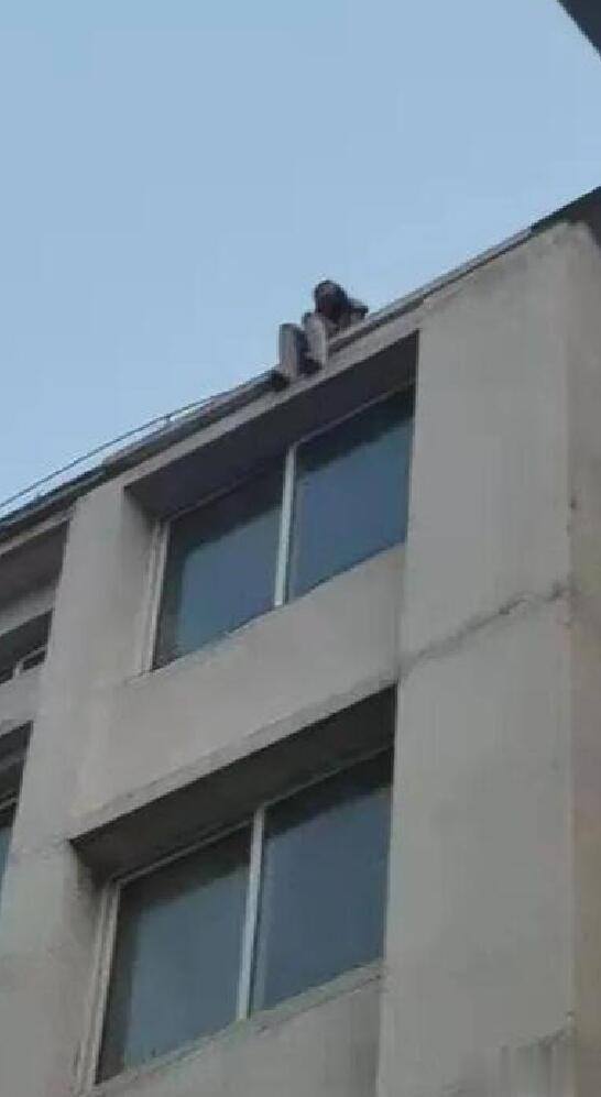辽沈晚报 生死瞬间!沈阳沈北辅警纵身一跃,拽回轻生女孩