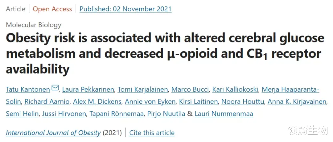 黄芪|研究表明,一个人在肥胖前,他的大脑已经发生了改变