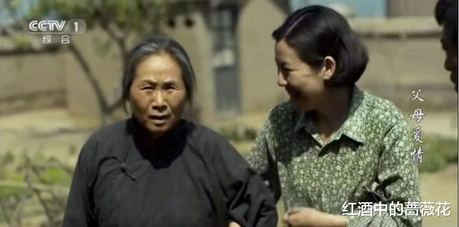 父母爱情|《父母爱情》中隐藏的华丽龙套配角