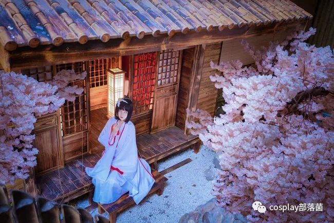 龙珠|cos：雏田白无垢cos正片