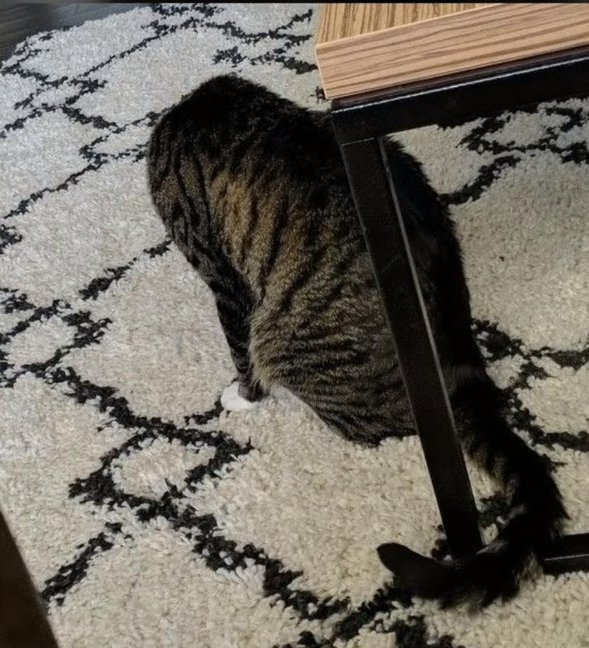 海之归墟|32张带有“误导性”的照片,你能一眼看明白吗?