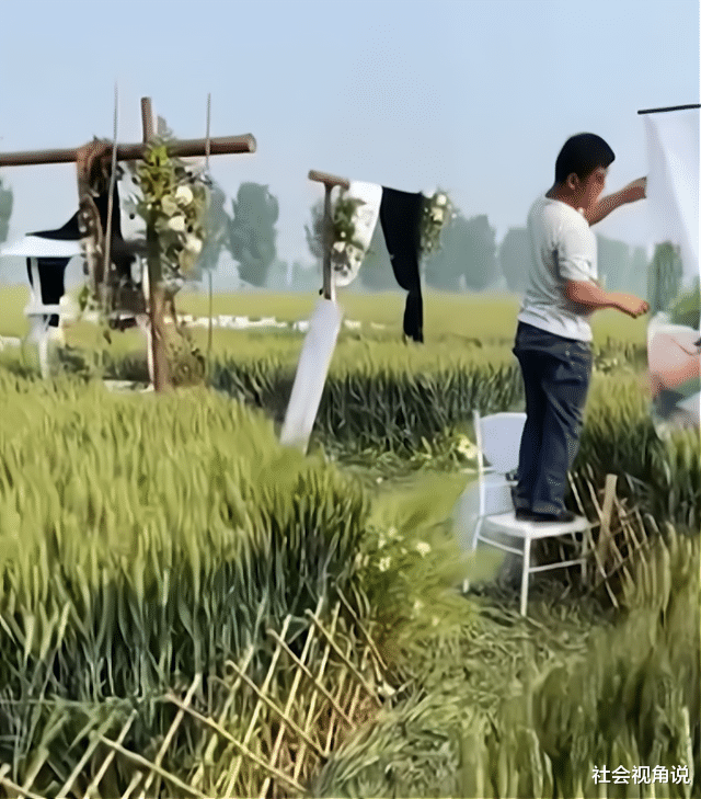 社会视角说 河北新人在麦田举行婚礼,却把即将收获的麦子压弯:糟蹋粮食!