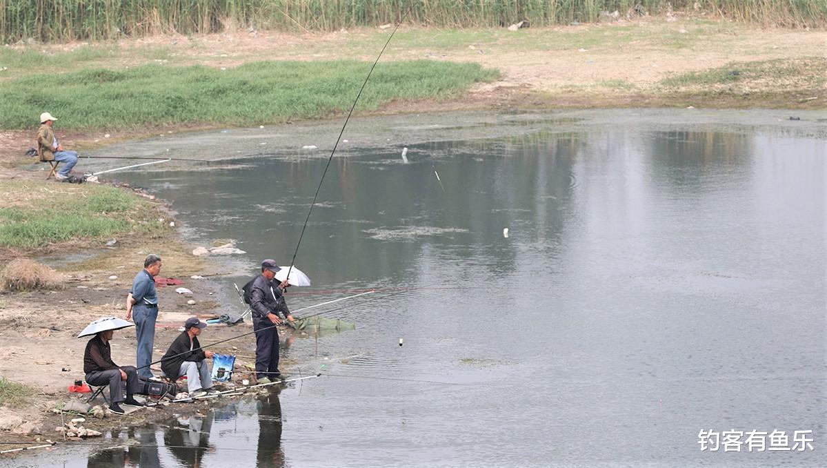 饵料|钓鱼明明有口变没口，6种操作误区，你占了几种？