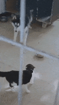 萌控孩|女生绑在脖子上的“黑带子”是啥意思?哈哈哈哈...这到底是什么神操作?