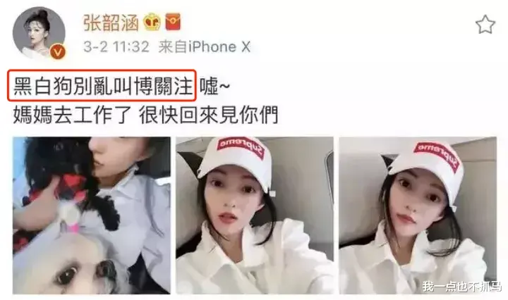 陈建州|这个大瓜，隐隐约约有听说