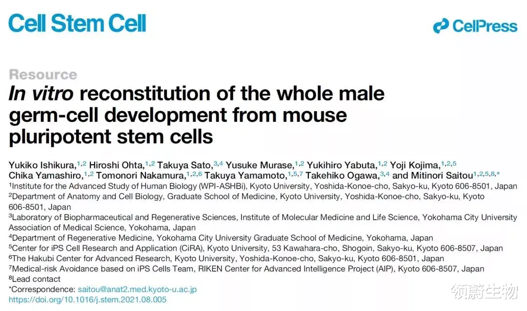 胚胎干细胞 Cell: 人造精子成真！人类的繁衍不需要男人了？