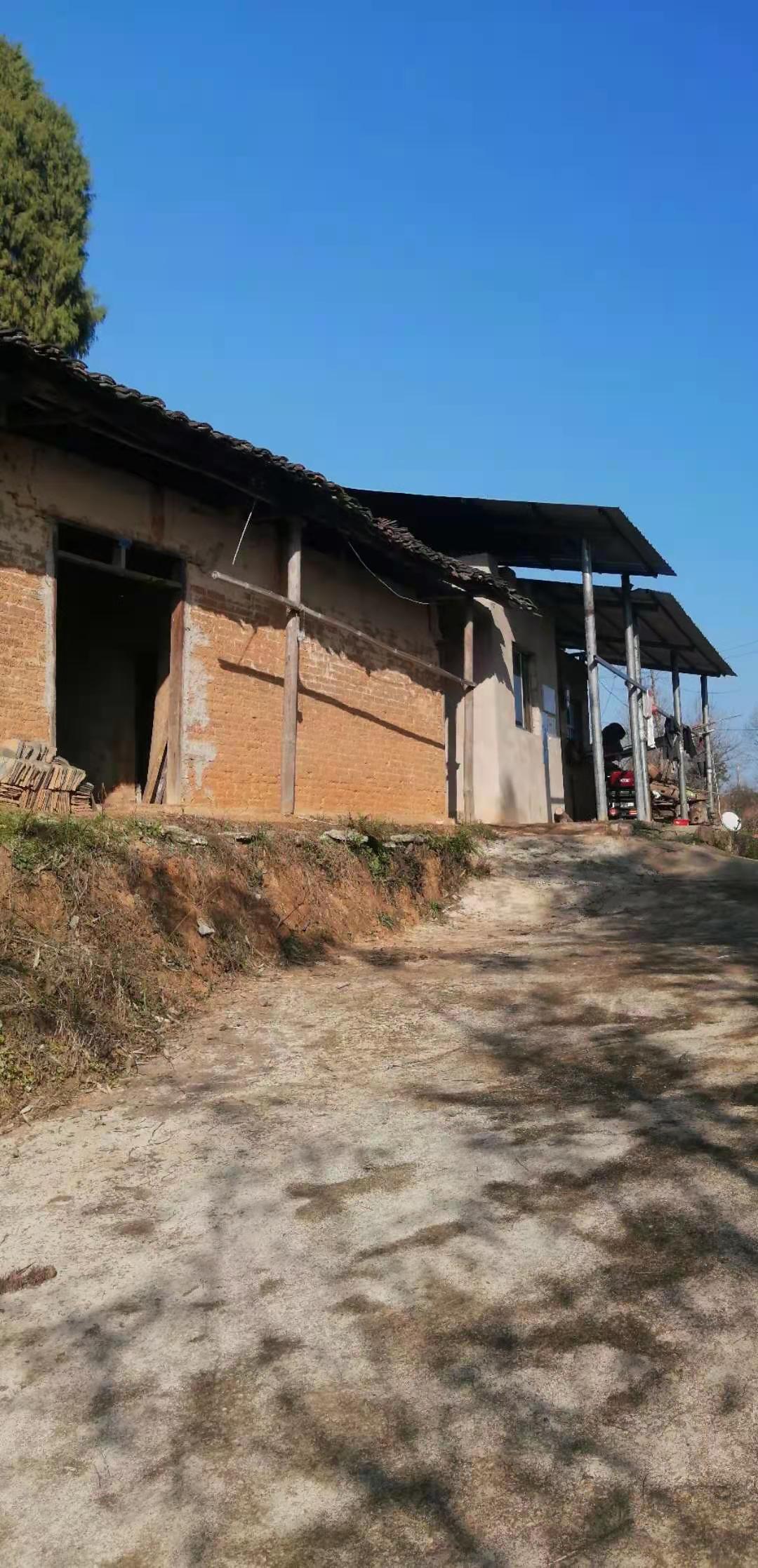 水殿风凉 一个农村孤寡老人的春节