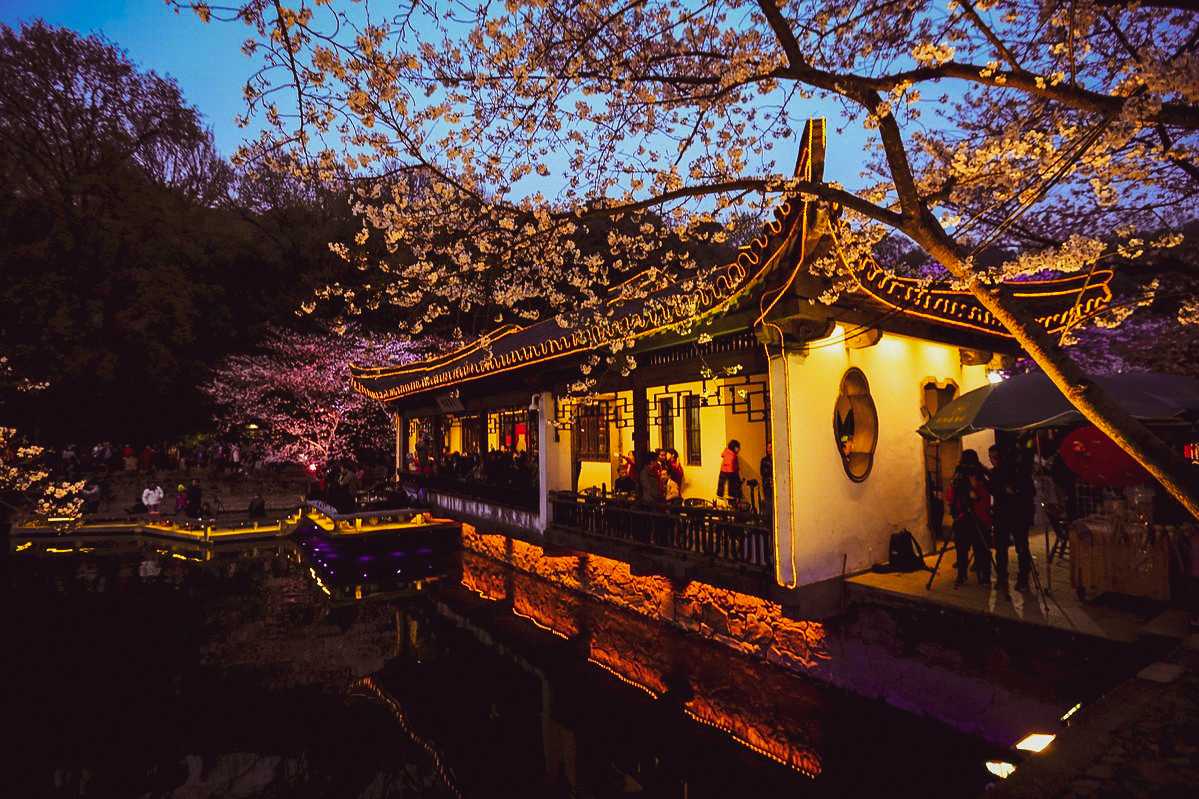 鼋头渚 3月，我建议你一定要去一次鼋头渚，美到不想离开