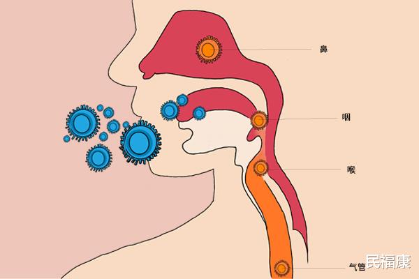 民福康|孩子睡觉总是喜欢张嘴呼吸，对身体有影响吗？怎样纠正？