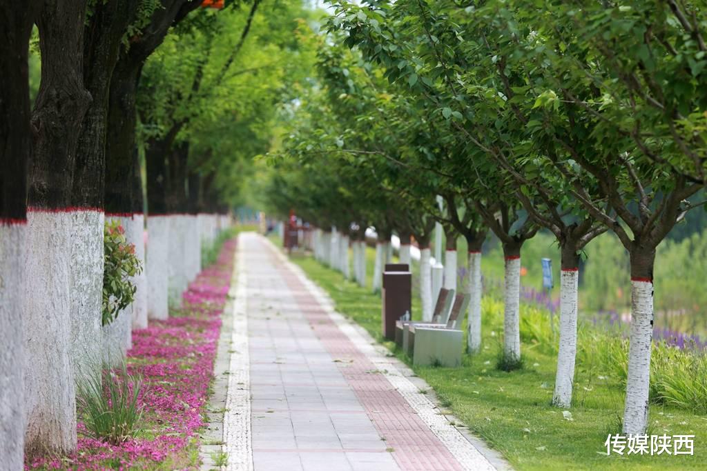 传媒陕西 春暖花开，太乙风雅绿道精彩呈现，真切感受到生态流入城市的惬意