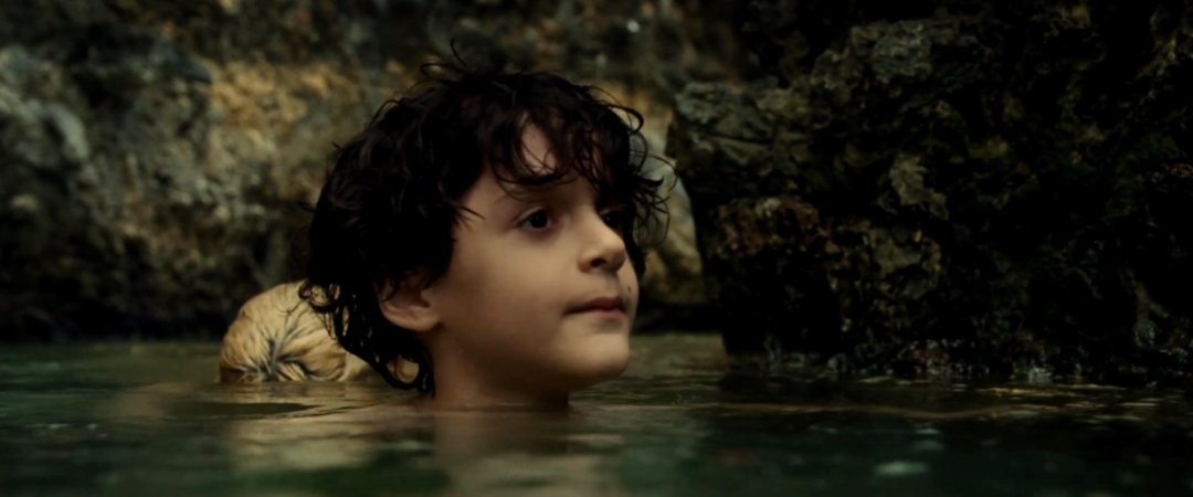 |3小时，尸体变白骨，这部R级片道出了所有人内心的恐惧