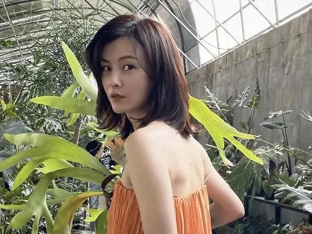 清浅微笑的我|《我的前半生》唐晶一角，原本马伊琍推荐了自己的闺蜜刘孜来演