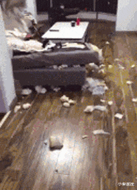 小秦星座|搞笑GIF：被我的队友坑了