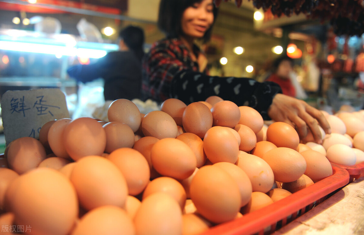 鸡蛋 猪价跌破17元,鸡蛋也停涨,会出现“塌方式”大跌吗?