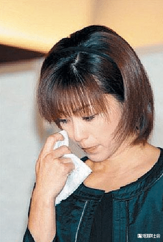酒井法子|酒井法子的堕落之路：从玉女到艳星，乞讨，沦为国际乞丐