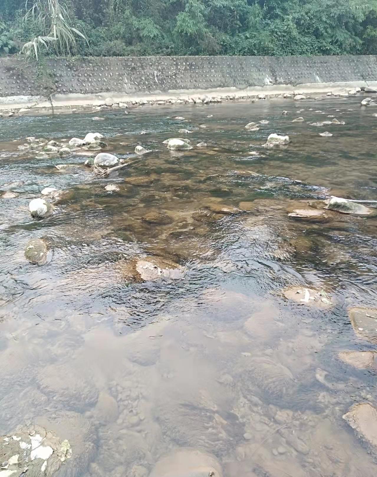 饵料|石蚕是野钓中非常好用的活诱饵，用它做钓，能让你鱼获大大增加
