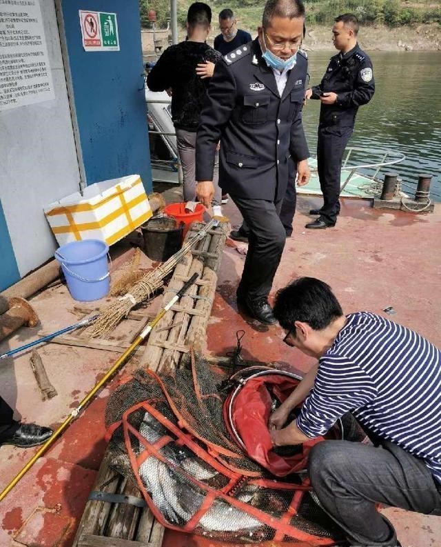 渔业|泥鳅党的罪与罚，灭绝式垂钓恢复需10年，贪婪钓者何时休？