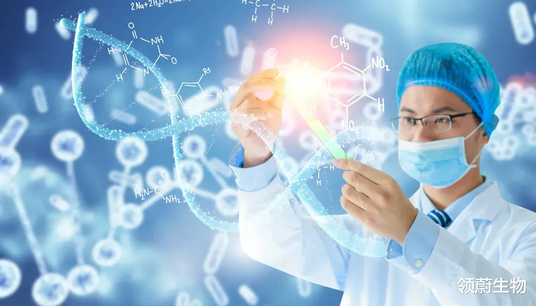 领蔚生物|研究丨干细胞调节股骨头坏死前景不可估量