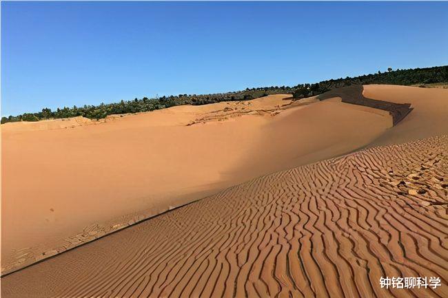 阿爾及利亞60℃熱暈駱駝之後，我國高溫也來瞭，地球究竟怎麼瞭？-圖6