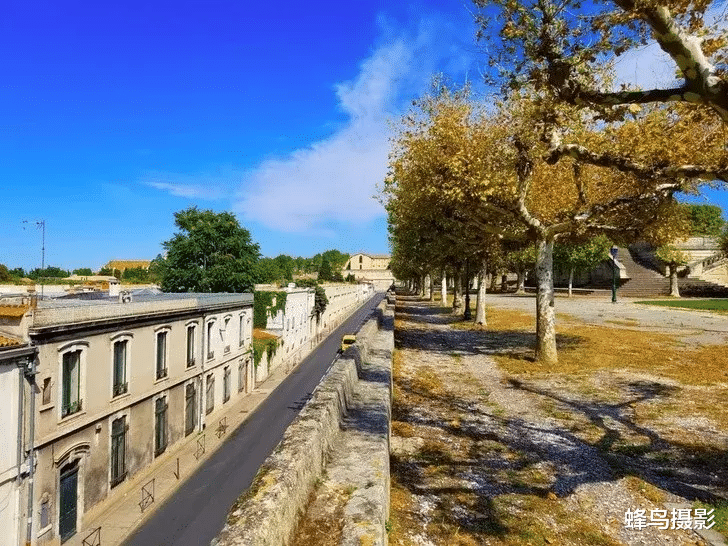  22张罕见的照片，鳄鱼居然同类相残，老鹰成乌鸦的顺风车