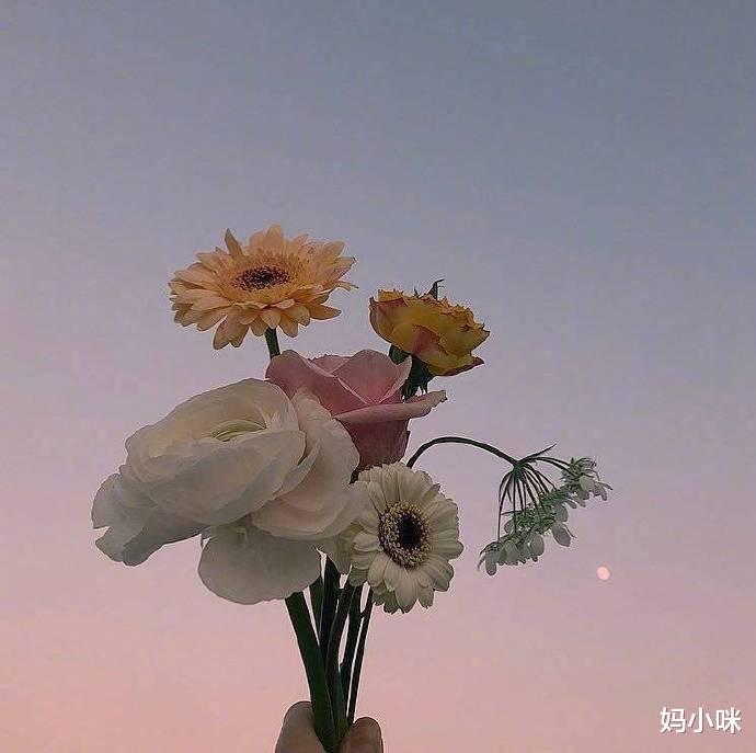 妈小咪|人到中年，赚钱上瘾，才是人间清醒