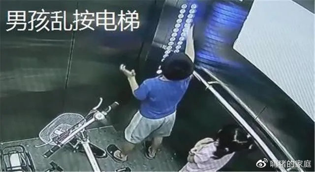 嗨猪的家庭|四岁男童电梯“消失”,再见已是遗体!监控还原事情真相...