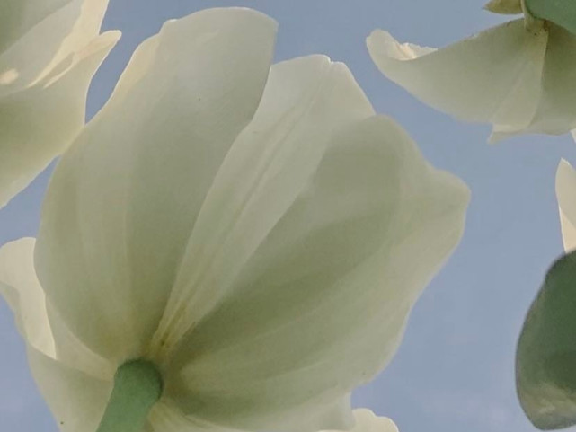 星座师安达|成为水瓶座真正的恋人,需要具备哪几点?