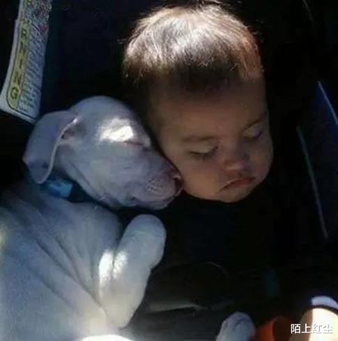 刘亦菲|“马总化腾的女儿又爆出近照，朋友们你们觉得漂亮吗？”