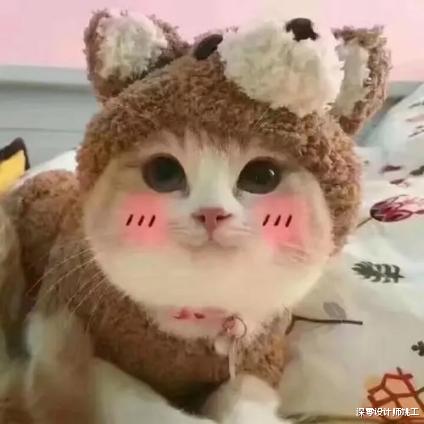 好久没看到这么温馨的111㎡三居室,满屋黄色墙面,散发出别样魅力