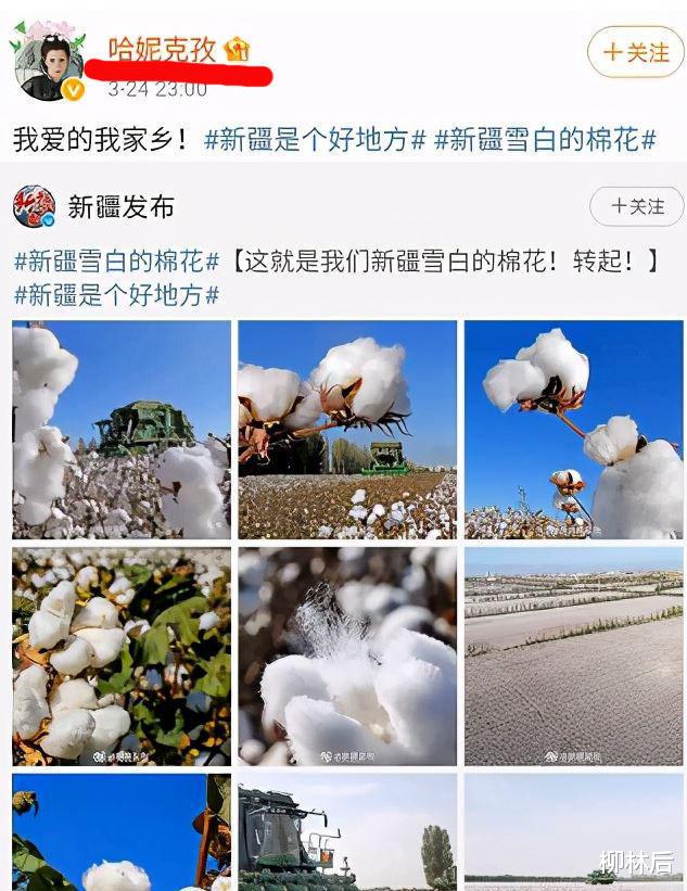 王蓉|王一博栽了！央视发声：荒谬