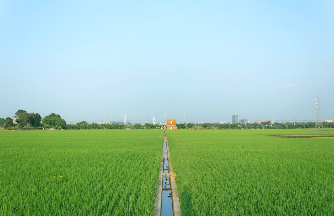 郝景芳 南极冰川若全融，使海平面上升至66米，我国哪些一线城市会消失？