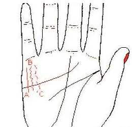 属马|这种手纹的人,一生不顺,一生难有积蓄