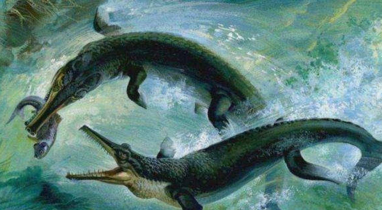 霍金 鳄鱼家族太倒霉！两亿年来，次次都在马上要称霸地球时被“针对”