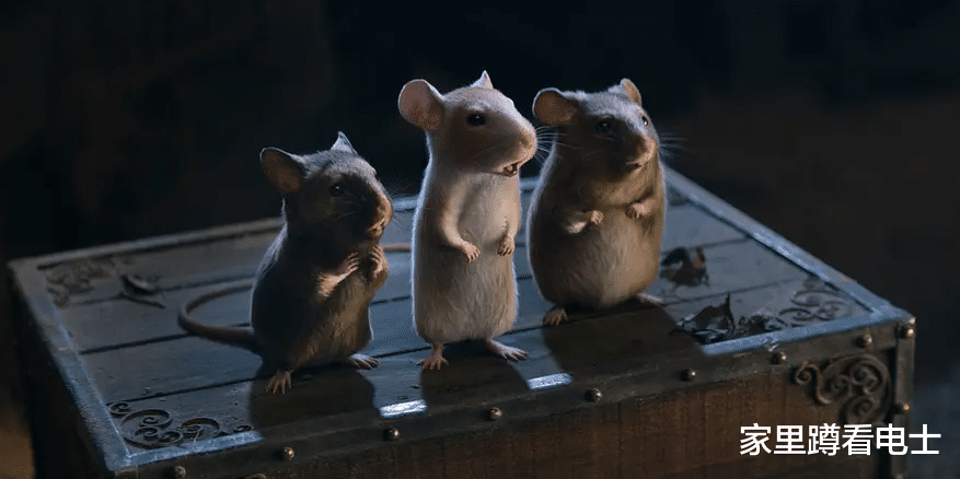 灰姑娘|男人演仙女，后妈变好人，新版《灰姑娘》还有哪些“离谱”的改编？