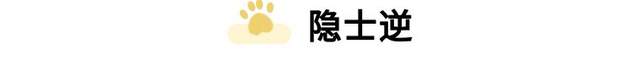 喵喵的塔罗|塔罗牌测试，你婚后的家庭地位有多高