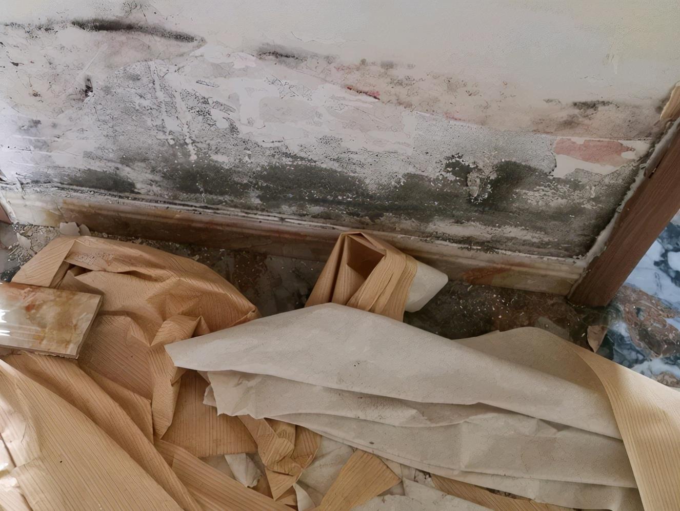 一楼房子潮湿，别着急装修，有3种方法要提前了解