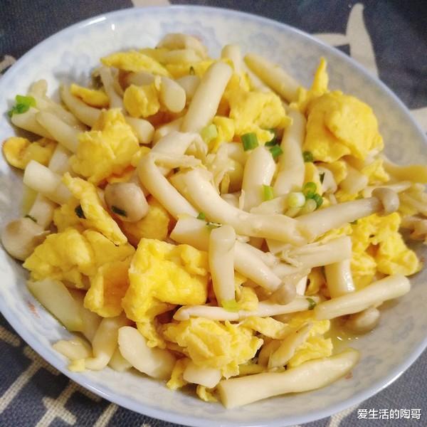 爱生活的陶哥|三伏天，6道夏季好菜给你，简单易做，美味可口，大人小孩都爱吃