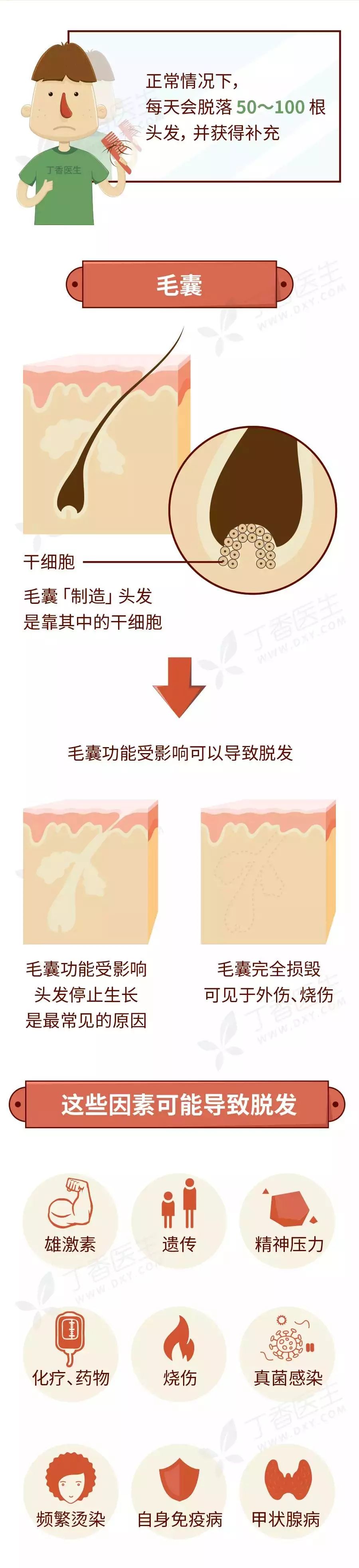 脱发|特别容易掉头发，会不会哪天就秃了？