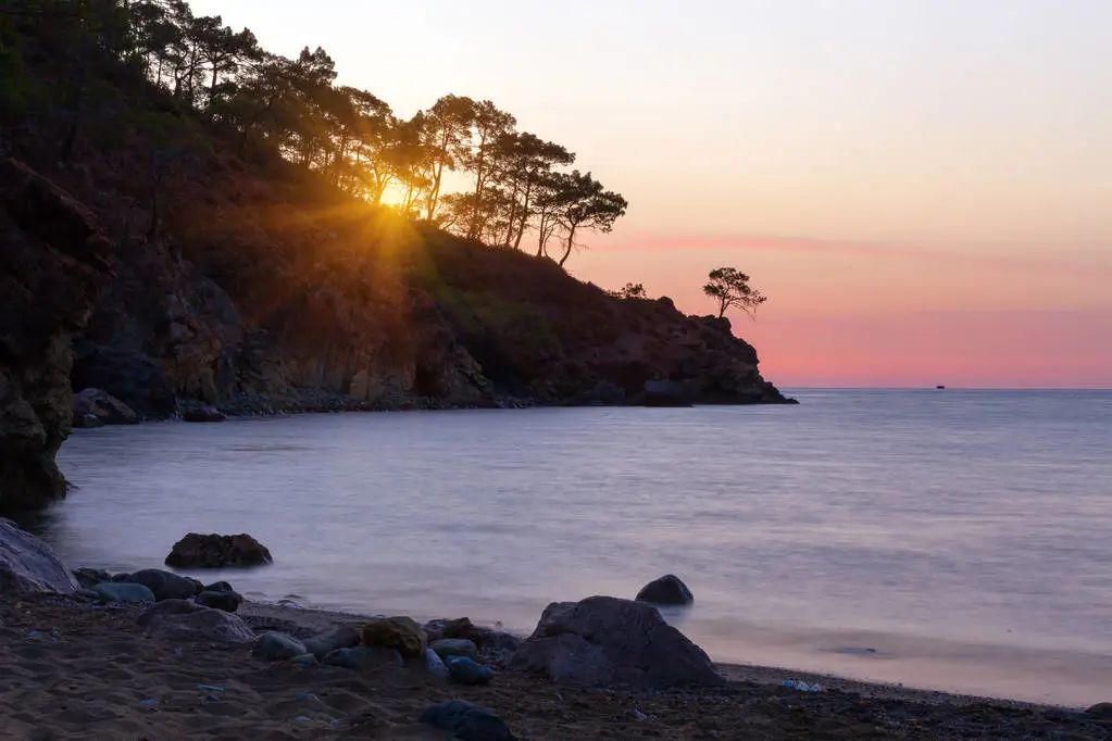 白衣梧桐 当一个男人不想和你共度余生,他会有什么样的反常表现