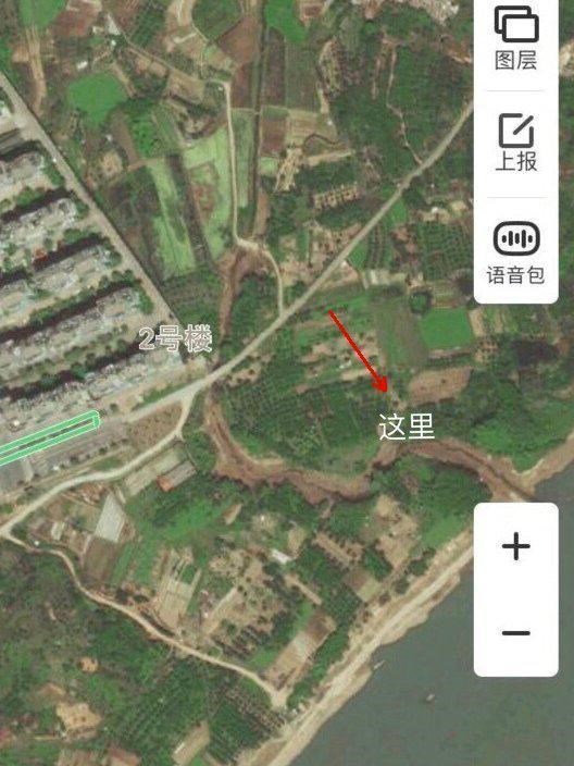 |鲤鱼靠岸产卵被一锅端?浙江钓友钓起几十斤鲤鱼,随后又放生