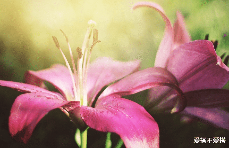 爱搭不爱搭|很在意感情,内心难以释怀,很难忘记一个人的星座